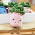 Pink plush succulent plant pot with a smiling face and cute dangling brown legs - 23cm / Pink Succulent