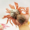 Realistic brown stretchable spider toy made of soft rubber held in a person's hand - Brown Simulation Spider