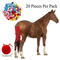 Packung mit 20 bunten 2cm Plüschpompons für Pferdemähnen-Deko und Bastelarbeiten - Bunte Mähnenblumen (20 Stück/Packung) / 2cm Durchmesser