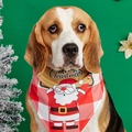 Close-up of a Christmas dog bandana with Santa print and red checkerboard pattern - Red and White Gingham Santa Style