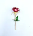 Elegante spilla a rosa in smalto rosso con stelo dorato e foglie verdi su bianco - Rosa Rosso Brillante