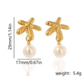 Titanium gold starfish pearl earrings measuring 29mm height and 17mm width - Style 8-Starfish Pearl
