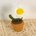 Handgefertigte gehäkelte weiße Blume im Topf mit grünen Blättern und Stiel - Gänseblümchen / Weiß