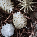 Champagne series Christmas tree ornaments featuring white pine cones and gold glitter stars - 6CM Gold Edge Pine Cone 6pcs Set