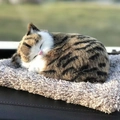 Close-up of sleeping plush tabby cat model on a grey mat with soft faux fur texture - Large Brown Tabby Cat