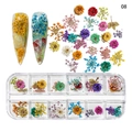 12-grid nail art dried flowers set featuring colorful hydrangea and petals variant 08 - Warm Sunshine Series (NDF-21-08)