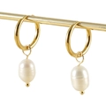 Minimalist 18K gold plated stainless steel hoop earrings with natural pearls on white backdrop - Freshwater Pearl Hoop / Gold