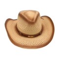 Bohemian gradient brown woven straw cowboy hat with a gold feather charm detail - One Size / Cream 2 (Gold Feather)