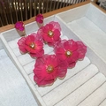 Dos pares de pendientes de flores de malla rojo rosa con diamantes blancos en un joyero gris - 45# Estilo de Borla de Flor (Juego de 2 Pares) / Rosa rojo