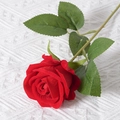 Single artificial red rose with green leaves on white knitted background fabric - Bright Red (Velvet Version)