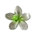 Translucent candy green plumeria flower hair claw clip with gradient petal finish - Pearly Plumeria Claw [Green]