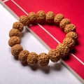 Bracelet en graines de Rudraksha marron naturel avec textures sur un livre rouge - Texture en Nid d'Abeille à 5 Pétales 12-16mm (Boucle Simple)
