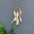 Handcrafted dreamcatcher with light beige feathers and woven wood frame on grey wall - Natural Rattan / Brown