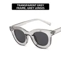 Cat-eye sunglasses with transparent grey frames and dark grey lenses in retro style - Metal Hinge / Translucent Grey Frame Grey Lens