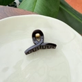 Detailed top view of a dark brown glossy hair claw clip on a white ceramic plate - 5.5cm Butterfly Buckle / Chocolate