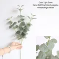 Green Artificial Eucalyptus Silver Dollar Branch 68cm long for Nordic vase decoration - Eucalyptus Coin Leaf / 68CM / Light Green