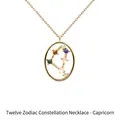 Collar Capricornio de plata de ley S925 con cristales de colores en dorado - Capricornio