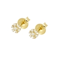 Detail shot of gold-plated 925 silver flower earrings with sparkling cubic zirconia crystals - Gold Snowflake Style (JQH0380-GG)