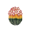 Spilla fiore di cactus in smalto con accenti in cristallo in tonalità oro e verde - Cactus Verde con Fiore Rosso (C258-A)