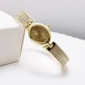 Luxurious gold oval women's watch with rhinestone bracelet and quartz dial in gold - Gold