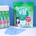 Disposable green tea cooling eye mask with 10 pieces pack for soothing eye fatigue - 10 Pieces Pack (Single Price) / Green Tea Flavor
