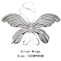 122x89cm Silver