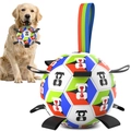 Durable interactive dog soccer ball with nylon grab tabs for large breed fetch and play - Basic Multi-color / 15cm Small