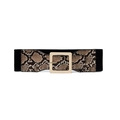 Detail of green snake pattern wide elastic belt with a golden square metal buckle - Brown Snakeskin
