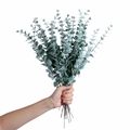 Bunch of artificial grey-green eucalyptus stems for home and wedding decor - Ink Green Sprayed