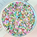 5mm fruit and animal pattern polymer clay slices for DIY crafts in white bowl - Animal / 100g Pack