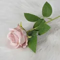 Morandi pink velvet artificial rose on white faux fur background for decoration - Light Coffee