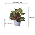 Artificial caladium plant in white pot with red and green leaf texture, 22cm total height - Small Pot + Red Leaf