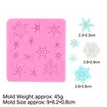 Roze siliconen bakvorm met sneeuwvlokmotief voor taartdecoratie en chocolade, 45g - Diverse Sneeuwvlokken Stijl (15-60) / Roze