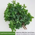 Artificial green Polyscias leaves 65cm branch with 105 textured waterproof film leaves - Glue-coated Polyscias Leaf