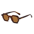 Retro geometric polygon sunglasses with tortoiseshell frames and brown tinted lenses - Retro Sunglasses / Dark Tea Stripes Tea Lens
