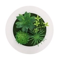 Round white wooden frame with artificial green succulent plants and moss wall decor - Style 7F