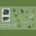 Green leaf botanical stickers set with monstera and fern patterns in a small box - Herbal Plants