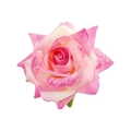 Detail of pink and white gradient fabric rose hair clip with realistic silk texture petals - Pink