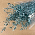 Preserved teal statice dried flower bouquet for DIY floral crafts in clear packaging - Blue (120g)
