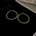 Macro shot of silver minimalist hoop earrings on a black velvet jewelry display tray - 41# Silver Needle - Silver - 4cm