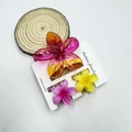 Three-piece plumeria hair claw set with pink and yellow gradient flowers on wood base - Transparent Pink + Yellow Set (including Card)