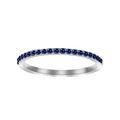 US5 / September Sapphire-Silver Color