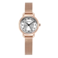 Minimalist rose gold women's watch with silver dial and Milanese mesh band - Rose Gold Case White Dial