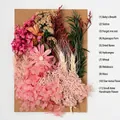 DIY dried flower set with pink hydrangea and roses for handmade floral art projects - Flower Pack A22