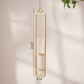 European style wall-mounted test tube vase with a minimalist golden rectangular metal frame - Small-Gold (22x4cm)