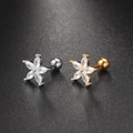 Flower-shaped stainless steel screw-back ear studs with sparkling zirconia crystals - 5-Petal Flower(S-CC003-12)