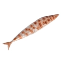 Modello di pesce alla griglia realistico con autentica trama dorata su sfondo bianco - Luccio Scombro del Pacifico