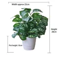 28cm artificial evergreen plant with striped leaves in a white ribbed ceramic pot - Medium Pot + Watermelon Leaf