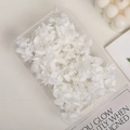 Preserved white hydrangea petals in a transparent box for DIY floral craft decorations - 5g / Pure White