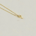 Delicate gold-tone necklace featuring a polished letter P initial pendant for women - Letter P(PXL2998)